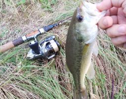 釣果情報(三田店) 釣果情報(三田店)
