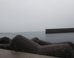 釣果情報(三田店) 釣果情報(三田店)