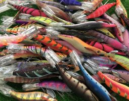 ディアモンスター エギ大量入荷 (茨木店) ディアモンスター エギ大量入荷 (茨木店)