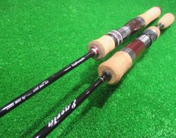 エゲリア、トラウティア入荷!(幕張店) エゲリア、トラウティア入荷!(幕張店)