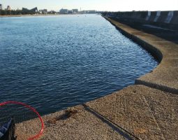 釣果情報(三田店) 釣果情報(三田店)