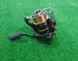 ダイワ　セオリー　12イグジスト入荷