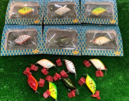 タナタロウ、ファットママ、タンケットビッチ (茨木店) タナタロウ、ファットママ、タンケットビッチ (茨木店)