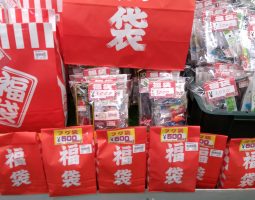 謹賀新年 謹賀新年