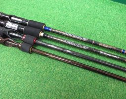 ヘラクレス、スティーズ入荷！（栗東店）