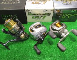 10ステラ 2500HGS、ポイズングロリアス等々入荷！（幕張店）