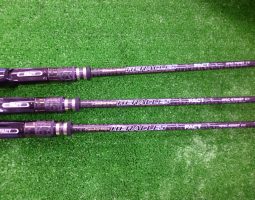 ヘラクレス 大量　入荷！大東店！