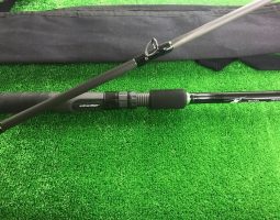 ボアコンストリクター、フォーザビーストなど入荷♪(高槻店) ボアコンストリクター、フォーザビーストなど入荷♪(高槻店)