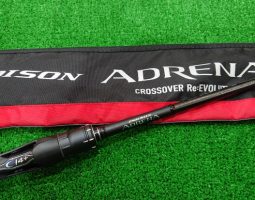 シマノ　エクスセンスCI4+　C3000M　ポイズンアドレナ　1610M入荷