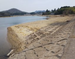 釣果情報(三田店) 釣果情報(三田店)