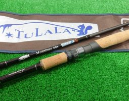 モンストロ/ヘラクレス入荷(和歌山塩屋店) モンストロ/ヘラクレス入荷(和歌山塩屋店)