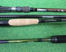 [栗東店]エルホリゾンテ、ロードランナーヴォイス入荷！