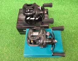 タトゥーラ入荷です（栗東店）