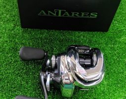 19アンタレス　ワールドシャウラ　タトゥーラ　SV　TW　入荷（茨木店）