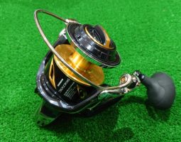 19ステラSW/セブンセンスMOSS/14モアザン入荷(和歌山塩屋店)