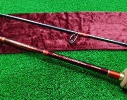 ワールドシャウラ/10ステラ/スティーズ/12イグジスト入荷(和歌山塩屋店) ワールドシャウラ/10ステラ/スティーズ/12イグジスト入荷(和歌山塩屋店)