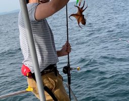 明石釣行（豊中店）