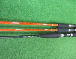 フォーキート ウィッピー、モアザン他入荷(栗東店) フォーキート ウィッピー、モアザン他入荷(栗東店)