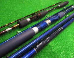 スカイキャスター、帆影、幻舟ヒラメ入荷!(幕張店) スカイキャスター、帆影、幻舟ヒラメ入荷!(幕張店)