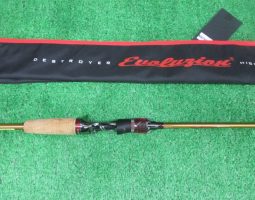 カレイド スーパースタリオン、サイドワインダー ボアコンストリクターなど入荷🎶(山科店) カレイド スーパースタリオン、サイドワインダー ボアコンストリクターなど入荷🎶(山科店)