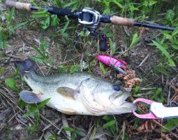 釣果情報（三田店）