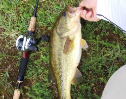 釣果情報（三田店）