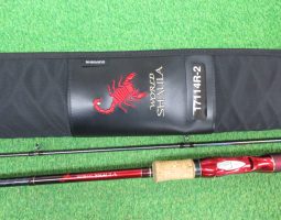 ワールドシャウラ他入荷です（栗東店）