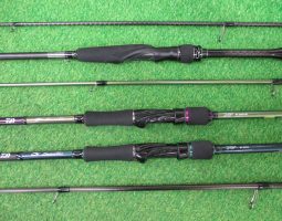 [栗東店]エクスセンスジェノス、エメラルダス、入荷！