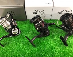 １９レグザ　１８タトゥーラ　ジリオン　スティーズ　（茨木店）