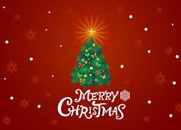 山科店緊急告知！！クリスマス特別価格にて販売中！道楽箱山科店