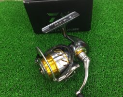 13セルテート2508PE入荷(三田店) 13セルテート2508PE入荷(三田店)