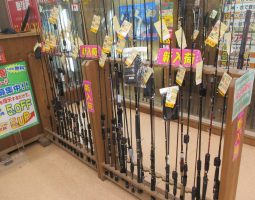 新製品　ダウズスイマー220SF入荷しました！道楽箱山科店