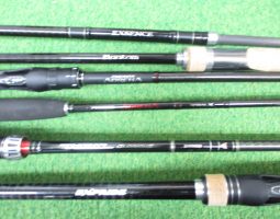 [栗東店]ポイズングロリアス、バンタム他入荷！