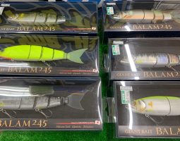 バラム245・ダウズスイマー入荷! (茨木店) バラム245・ダウズスイマー入荷! (茨木店)