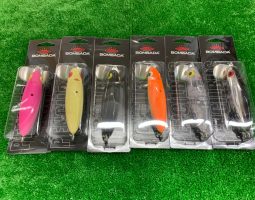 ペンシルバグ入荷しました。 (茨木店) ペンシルバグ入荷しました。 (茨木店)