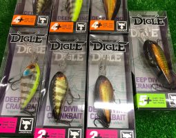 ディグル・ナギサ入荷しました。 (茨木店) ディグル・ナギサ入荷しました。 (茨木店)