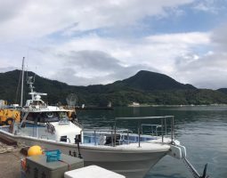 釣果情報　兵庫県香住沖　イカ釣り　（豊中店）