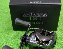 アンタレスＤＣＭＤ入荷！（堺南店）