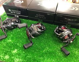 20タトゥーラ 20アルファス スティーズ AIR等 (茨木店) 20タトゥーラ 20アルファス スティーズ AIR等 (茨木店)