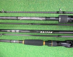 [栗東店]ラテオ、海煙、他入荷！