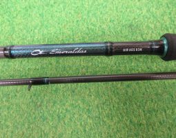 [栗東店]エメラルダスAIR入荷！