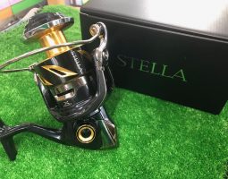 19ステラSW 8000HG 入荷しました!! (茨木店) 19ステラSW 8000HG 入荷しました!! (茨木店)