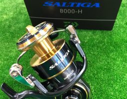 ソルティガ　８０００－Ｈ　入荷しました。　（茨木店）