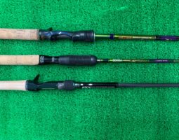 ロードランナー買取りしました。　（枚方店）