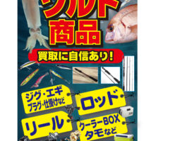 エバーグリーン　フェイズ　ＰＣＳＣ－７１ＸＸなど買取入荷しました！山科店