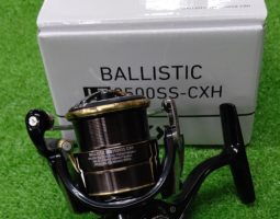 バリスティック、ワイルドサイド入荷！（堺南店）