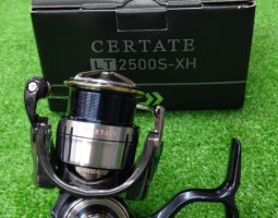 19セルテート　入荷！（堺南店）