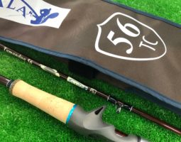 モンストロ タマンドア モレーナ 入荷しました (茨木店) モンストロ タマンドア モレーナ 入荷しました (茨木店)