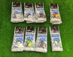 ネオスタイル NST プラチナム 入荷(茨木店) ネオスタイル NST プラチナム 入荷(茨木店)