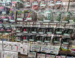 アルフレッド クロト 21アンタレスDC HG入荷(茨木店) アルフレッド クロト 21アンタレスDC HG入荷(茨木店)